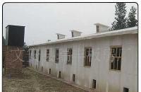 河北廊坊瑞豐保溫雞舍 防火保溫、耐酸堿，打造現代化養殖新標桿